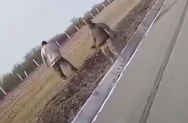 Members of the Jalisco Cartel hijack a fuel tanker truck, use it to block the highway, return the keys to the driver, shoot him and then open fire on the tanker truck.