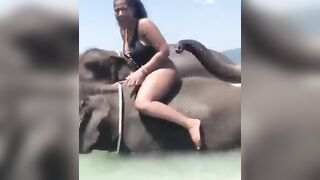 This Elephant Obviously likes Black Girls