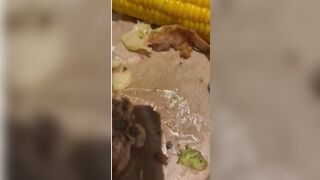 Little White Maggots found in Food Order in what Appears to be Chili's