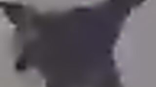 US has Unleashed its Powerful F-15 in the Largest Airstrike in Modern History, Shocking all Nations.