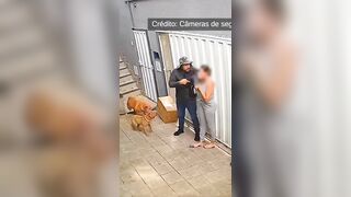 Fake Delivery Man forces Himself into Woman's House..Her Dogs don't Help
