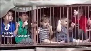 SHOCK VIDEO: Israeli Children Kidnapped by Hamas Kept in Cages like Animals.