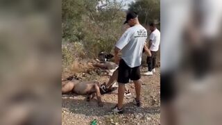 FULL Video of Hamas Kicking and Pissing on Corpses (Alleged Dead Israelis)
