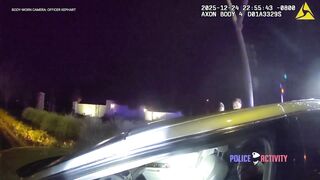 The usual suspect gets the usual mag dump.