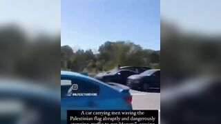 Carload Full Of Men Waving Palestinian Flags Shut Down Long Island Expressway