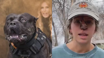 Woman shares her story after a shocking incident with her dog of almost 11 years