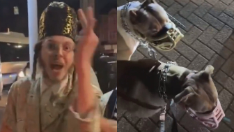 “MY DOGS ARE IN MUZZLES !”