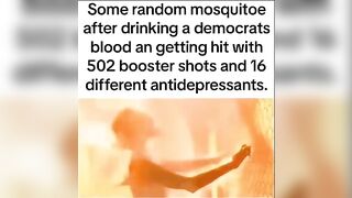 Some Random Mosquito....