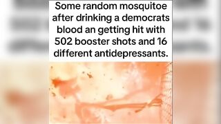Some Random Mosquito....