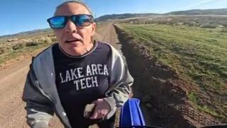 Scared horses = Attempted murder?