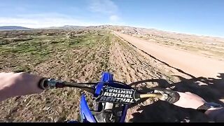 Scared horses = Attempted murder?