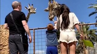 This Giraffe always Wanted Children so He just Takes One