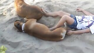 Girl finds out Big Dogs don't Like to Play Footsie
