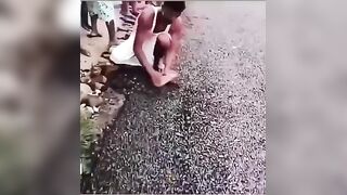 Why can't they have nice things? Because they steal the roads...wtf