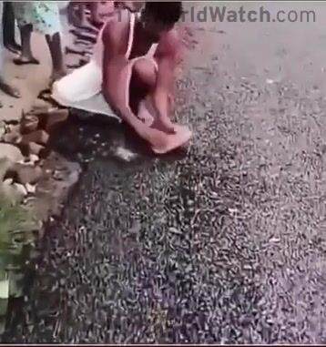 Why can't they have nice things? Because they steal the roads...wtf