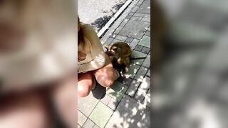 This Monkey has discovered Heaven....(Volume Down)