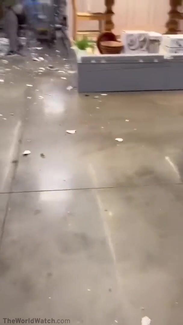 A Walmart shopper arrested after being caught on camera swinging bat, smashing plates