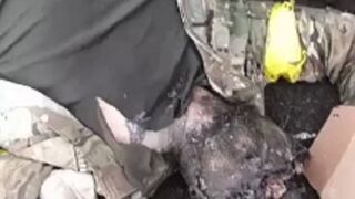 New: Ukrainian Assault Vehicle leaves a Gruesome Aftermath of the Dead