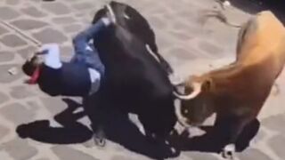 Man Gored By Bull During Festival In Mexico