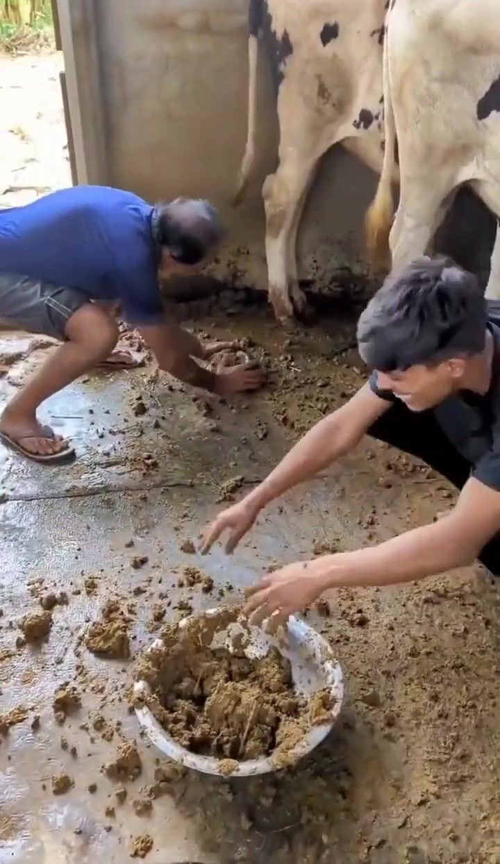 Pajeets Turd Burgers