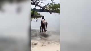 Girl gets a Brutal Wedgie by a Tree