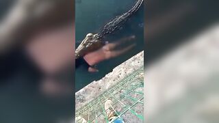A Huge Crocodile Attacks and Kills a Man in Mexico