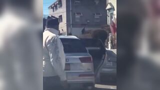 Woman mauled by Dog in NYC as Man records