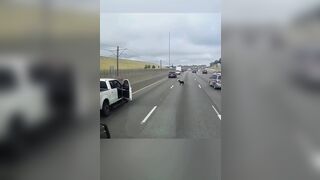 Dog jumps out of Window on a Busy Highway..