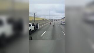 Dog jumps out of Window on a Busy Highway..