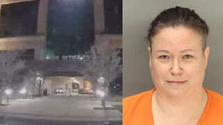 Idaho woman rams stolen ambulance into DHS and ICE building in attempted arson attack