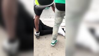 Fight of the Year beaks out on St Patrick Day Parade