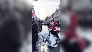 The bond between horses and humans is deeply emotional, based on trust, understanding and mutual respect
