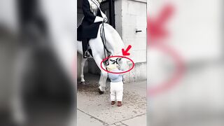 The bond between horses and humans is deeply emotional, based on trust, understanding and mutual respect