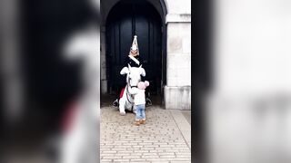 The bond between horses and humans is deeply emotional, based on trust, understanding and mutual respect