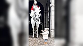 The bond between horses and humans is deeply emotional, based on trust, understanding and mutual respect