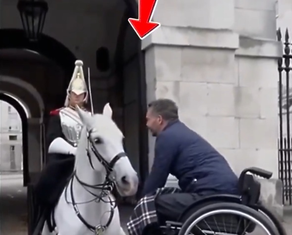 The bond between horses and humans is deeply emotional, based on trust, understanding and mutual respect