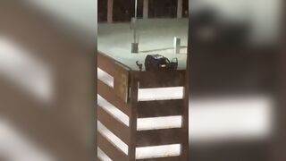 Don't Fall: Bad Girl goes to Top of Parking Garage to Twerk for Flashing Inmates across the Street