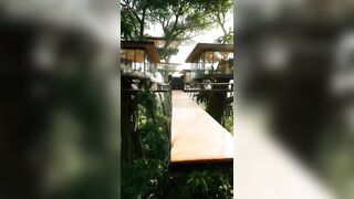 Why is Zuckerberg preparing for the end of the world?