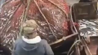 Hardcore Fishermen get an Unexpected Visitor