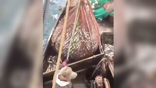 Hardcore Fishermen get an Unexpected Visitor