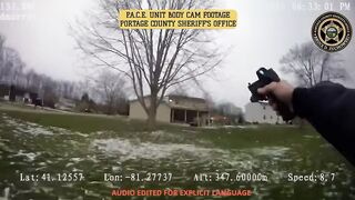 Vehicle theft suspect is taken down and bitten by K-9 in Ohio
