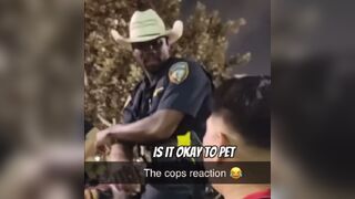 Is it Ok to Pet? He asks the Cop on the Horse....but Not that horse