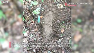Bigfoot Tracks found in Wales