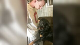 Pissed Off Rottweiler does NOT want his Nails Cut...I Love Dogs