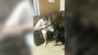 Pissed Off Rottweiler does NOT want his Nails Cut...I Love Dogs