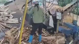 Woman Pulled Into A Wood Chipper