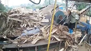 Woman Pulled Into A Wood Chipper