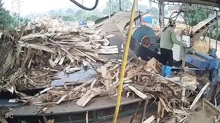 Woman Pulled Into A Wood Chipper