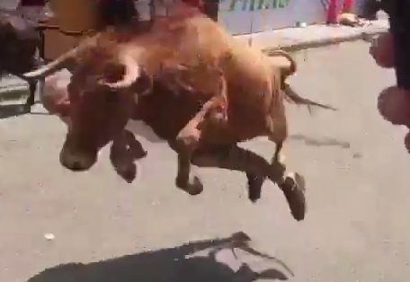 Man takes Knockout shot from Raging Bull