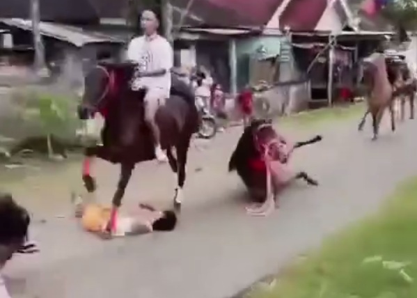 Dumb Jockey : Falls off Horse during Race